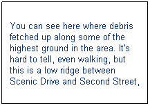 Text Box: You can see here where debris fetched up along some of the highest ground in the area. It's hard to tell, even walking, but this is a low ridge between Scenic Drive and Second Street,
